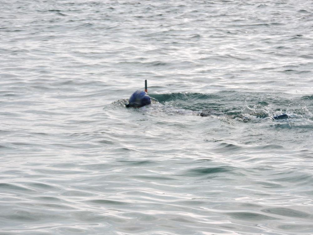 Batuta Maldives Surf View Affittacamere Thulusdhoo
