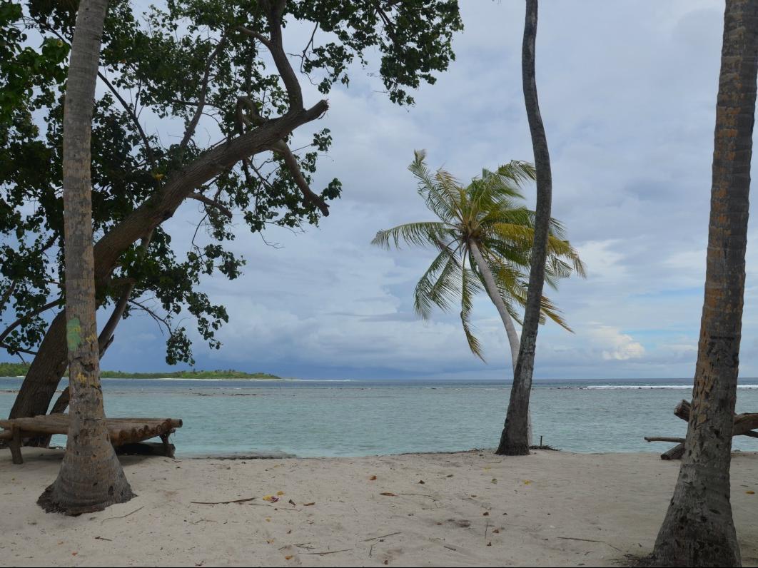Batuta Maldives Surf View Affittacamere Thulusdhoo