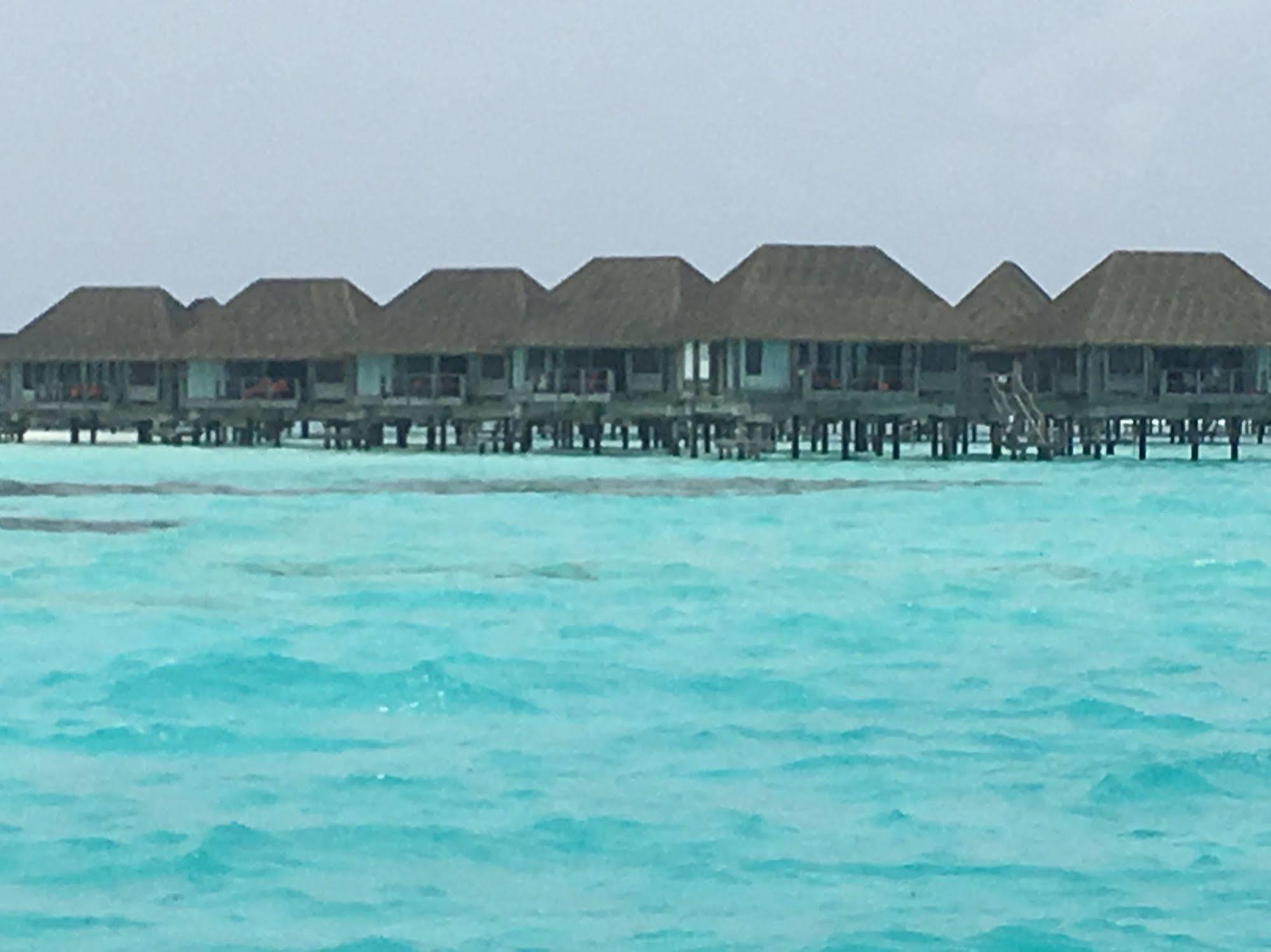 Batuta Maldives Surf View Affittacamere 2*